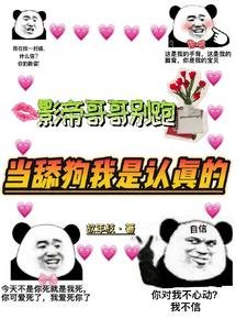 影帝哥哥别跑,当舔狗我是认真的